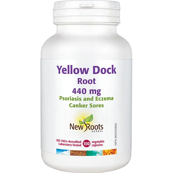 Yellow Dock